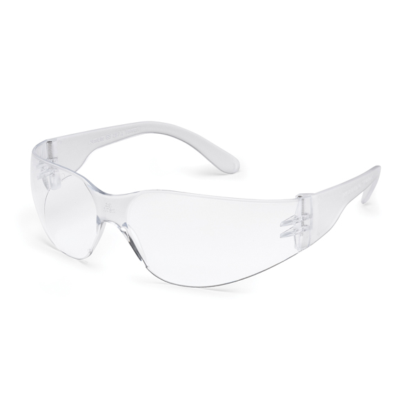 Gateway Safety 46MA10 StarLite MAG Clear fX2 Anti-Fog Lens Safety Glasses